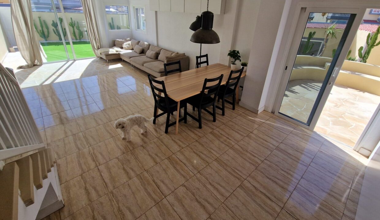 WhatsApp Image 2026-03-09 at 14.45.56